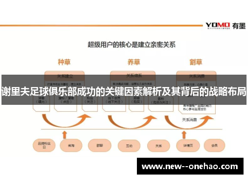 谢里夫足球俱乐部成功的关键因素解析及其背后的战略布局 谢里夫足球俱乐部成功的关键因素解析及其背后的战略布局