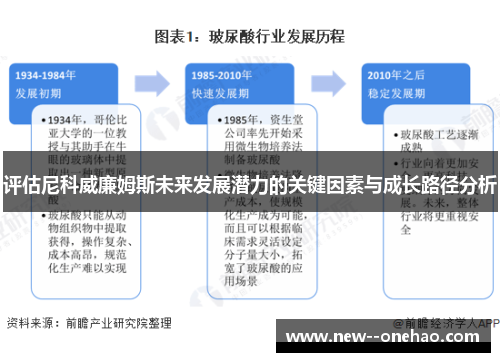 评估尼科威廉姆斯未来发展潜力的关键因素与成长路径分析 评估尼科威廉姆斯未来发展潜力的关键因素与成长路径分析